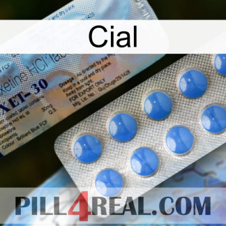 Cial 39